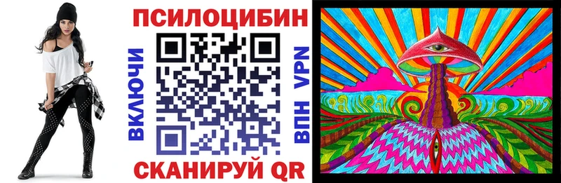 Псилоцибиновые грибы мухоморы  где купить наркоту  Новосокольники 